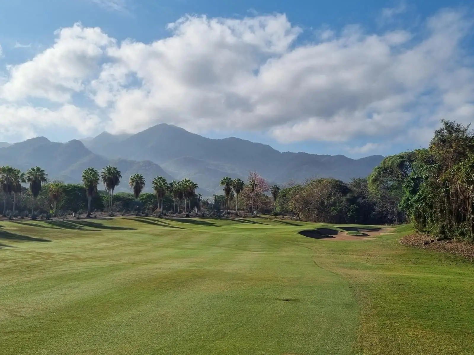 Mexico Open at Vidanta, Puerto Vallarta, Jalisco · Mexico